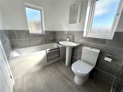 Picture 14